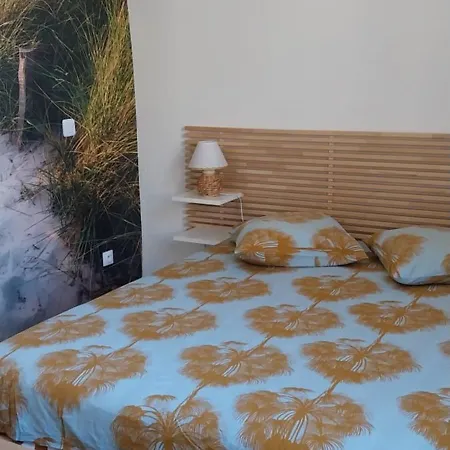 Le 41 Bis * Эг-Морт